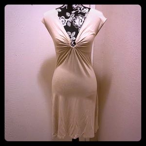 NWT Express Dress